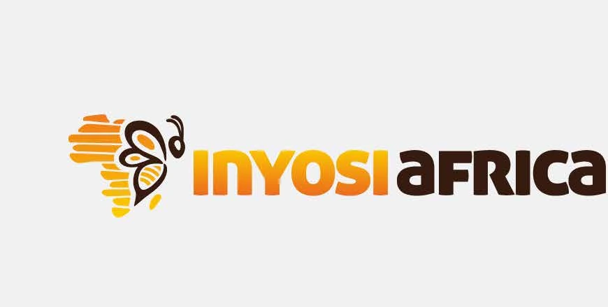 Inoyosi Africa visual identity presented on a light background.